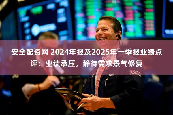 安全配资网 2024年报及2025年一季报业绩点评：业绩承压，静待需求景气修复