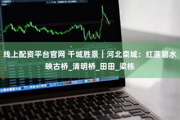 线上配资平台官网 千城胜景｜河北栾城：红莲碧水映古桥_清明桥_田田_梁栋
